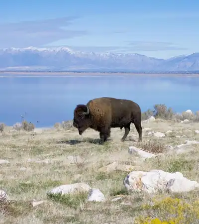 Utah in United States