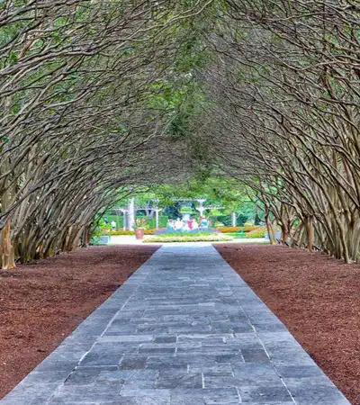 Dallas in Texas, United States