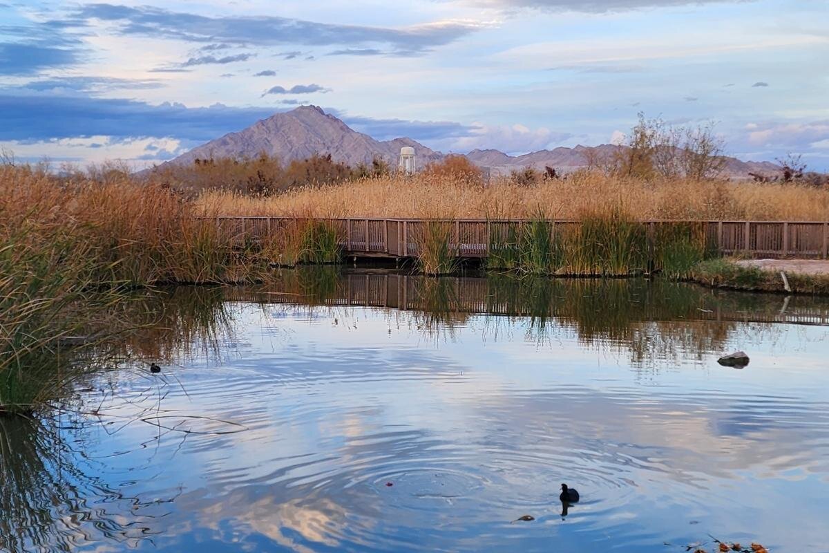 Clark County Wetlands Park