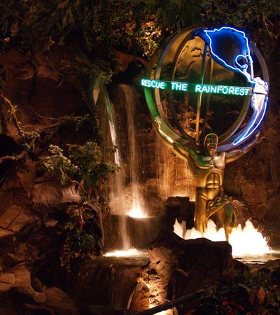 Rainforest in London, England