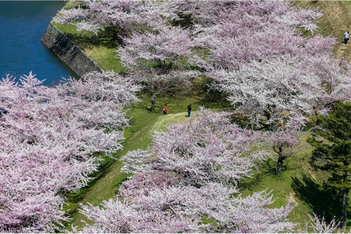 Goryokaku Park
