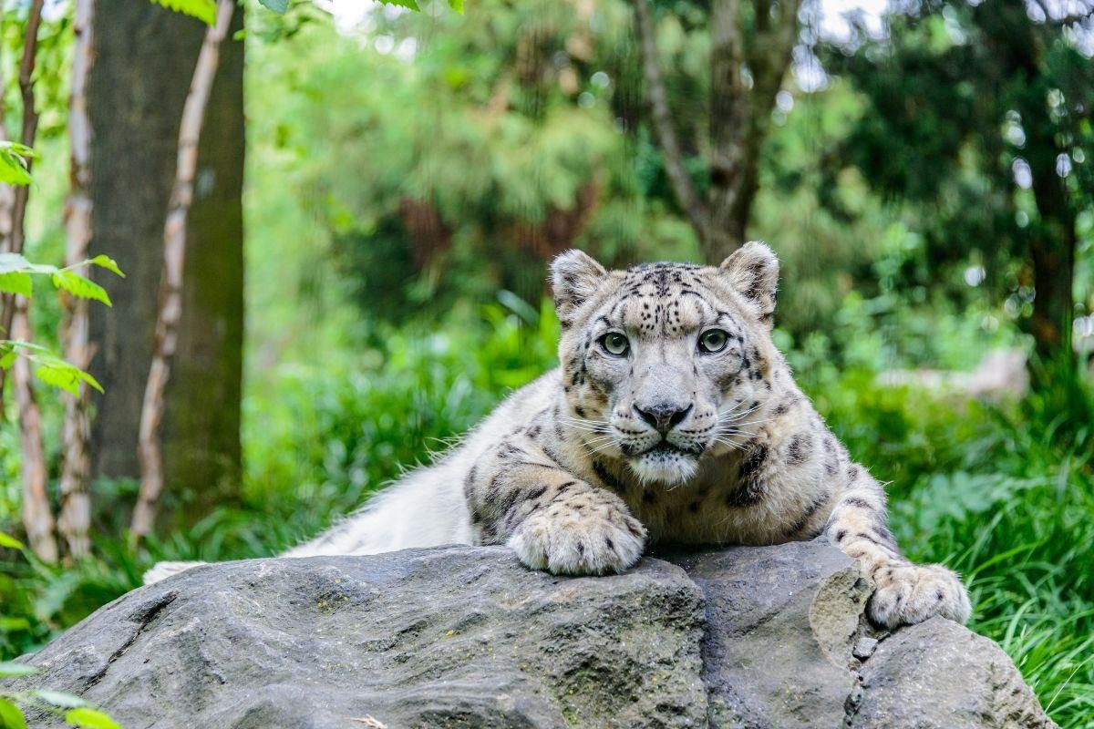 Central Park Zoo