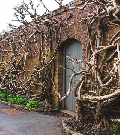 National Trust - Trelissick Garden in Truro, England