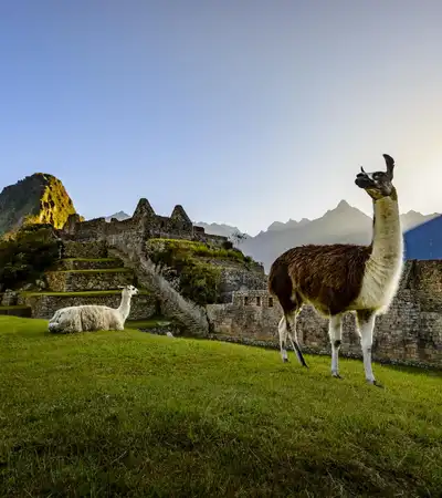 South America 