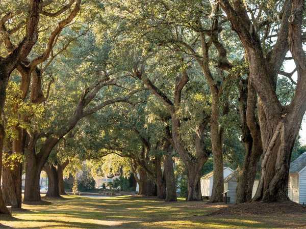 McLeod Plantation Historic Site