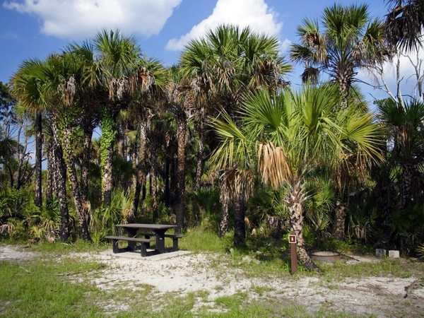 Big Cypress National Preserve