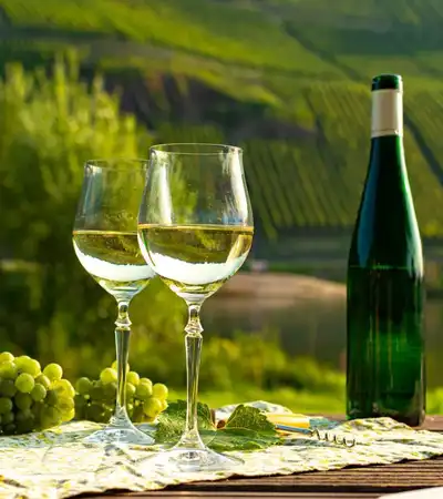 Hermanus in Western Cape, South Africa