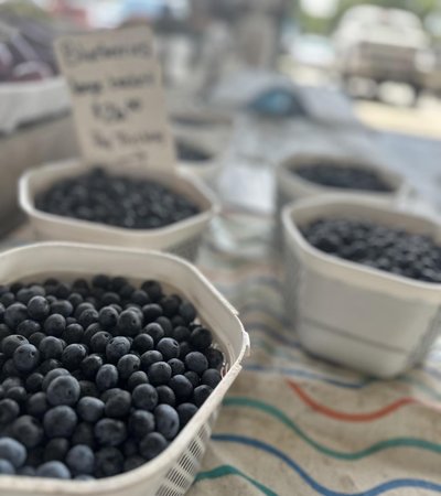 State Farmers Market in Raleigh, North Carolina