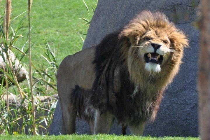 Santa Barbara Zoo