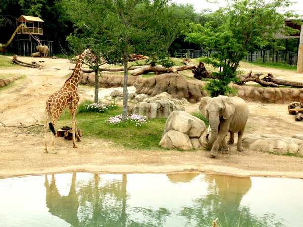 Dallas Zoo