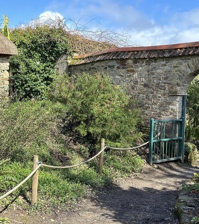 Enys Gardens in Penryn, England