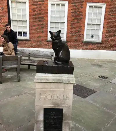 Hodge the Cat in London, England