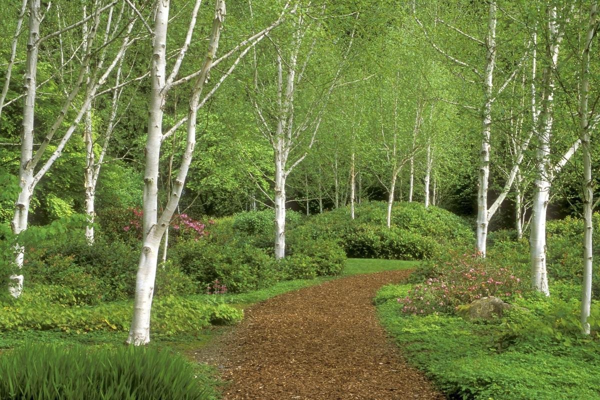 Bloedel Reserve