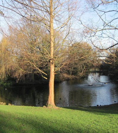 Springfield Park in London, England