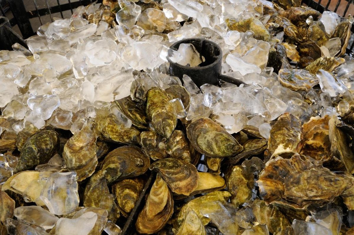 Tomales Bay Oyster Company