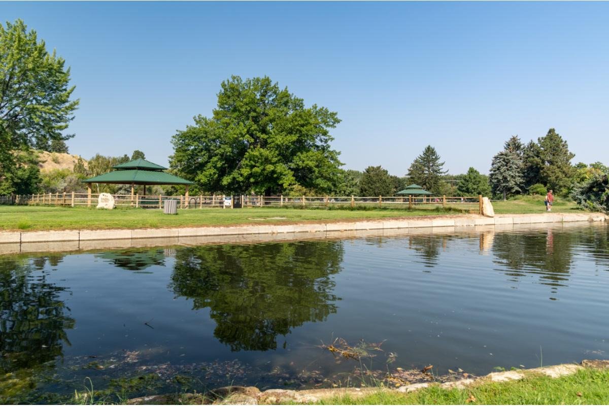Ann Morrison Park