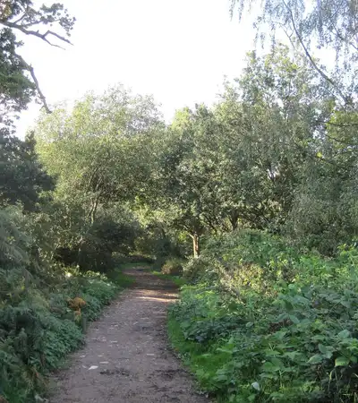 Arkley Lane Pastures in London, England