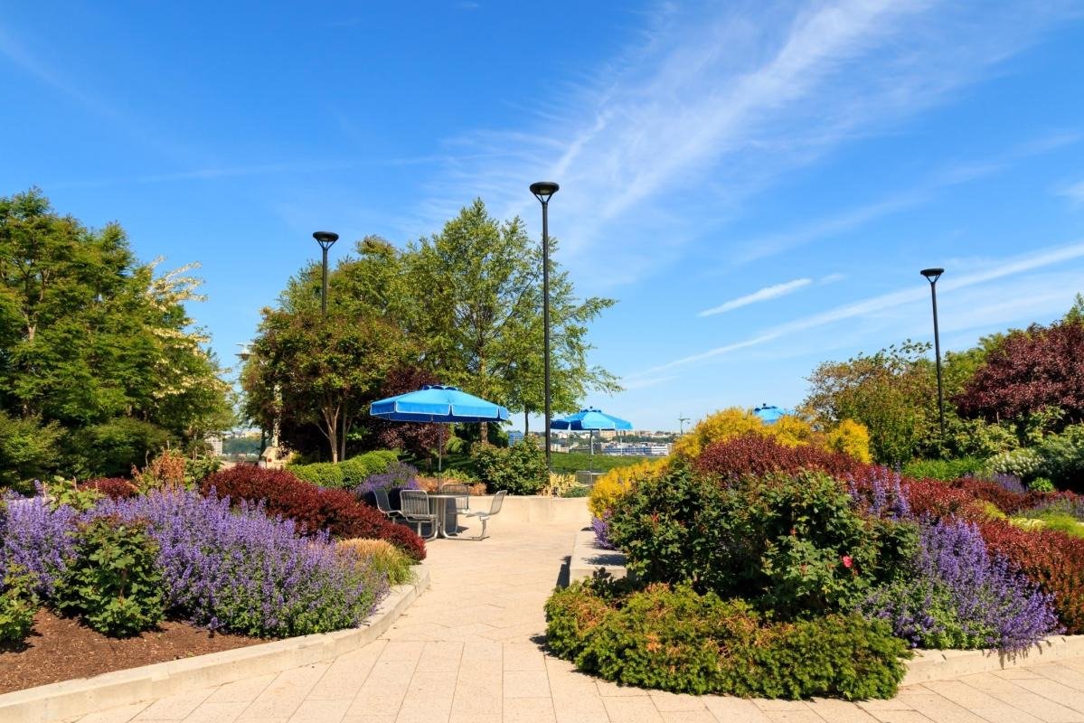 Hudson River Park