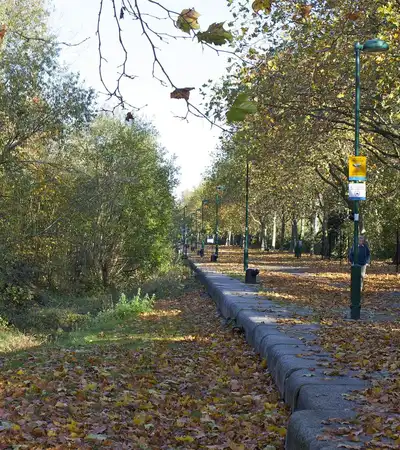 Russia Dock Woodland in London, England