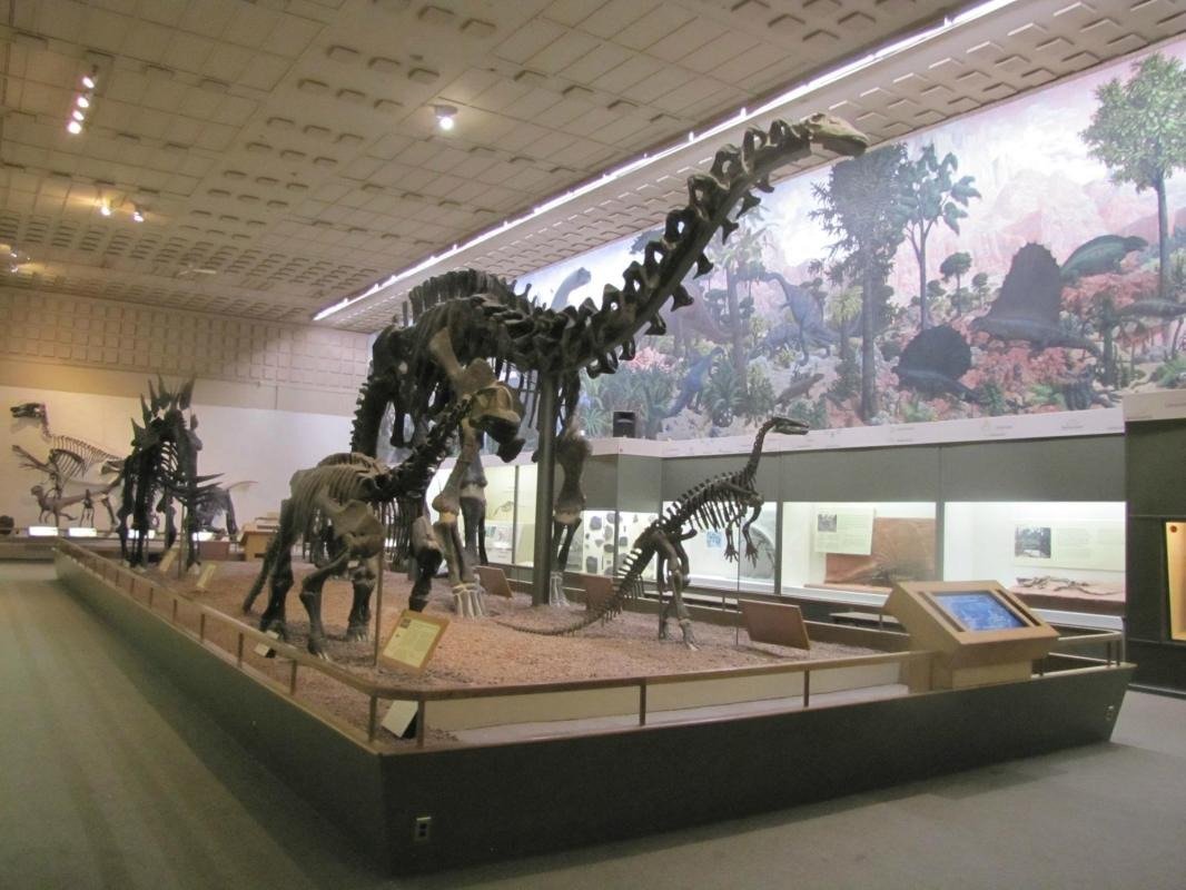 Yale Peabody Museum