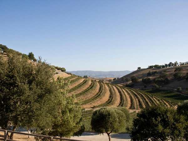 Santa Ynez Valley (SYV)