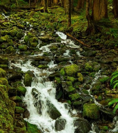 Sol Duc Falls in Port Angeles, Washington
