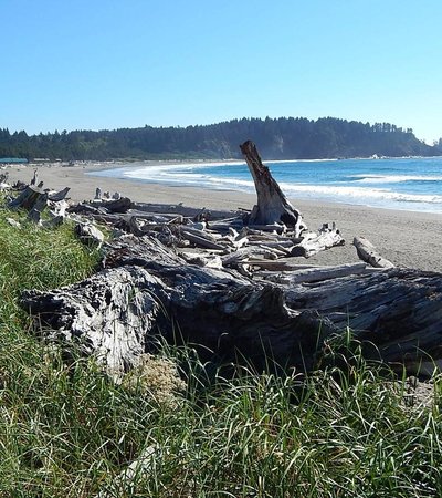First Beach (La Push)
