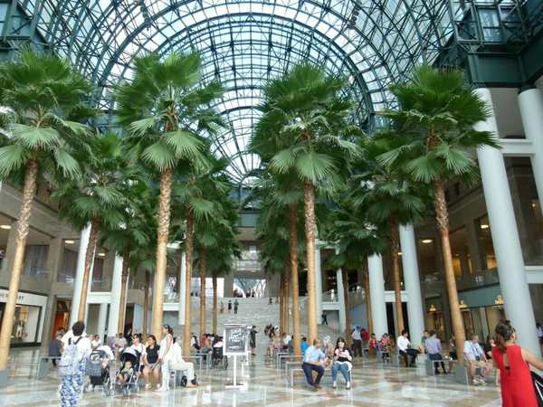 Winter Garden Atrium