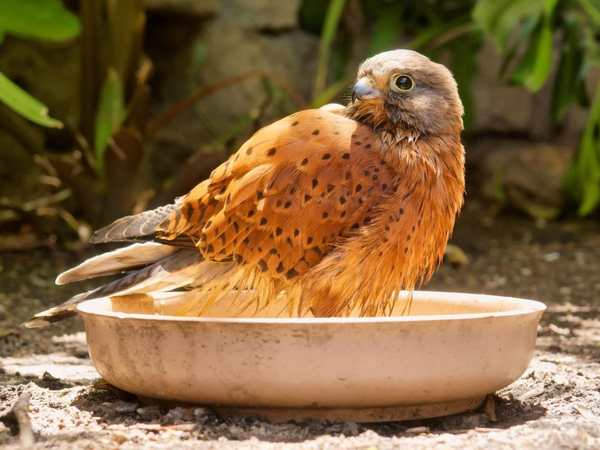 World of Birds Wildlife Sanctuary and Monkey Park