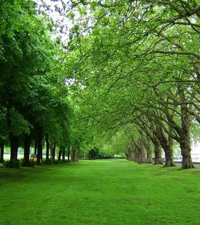 Wandsworth Park in London, England