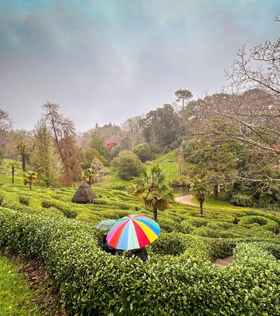 National Trust - Glendurgan Garden in Falmouth, England