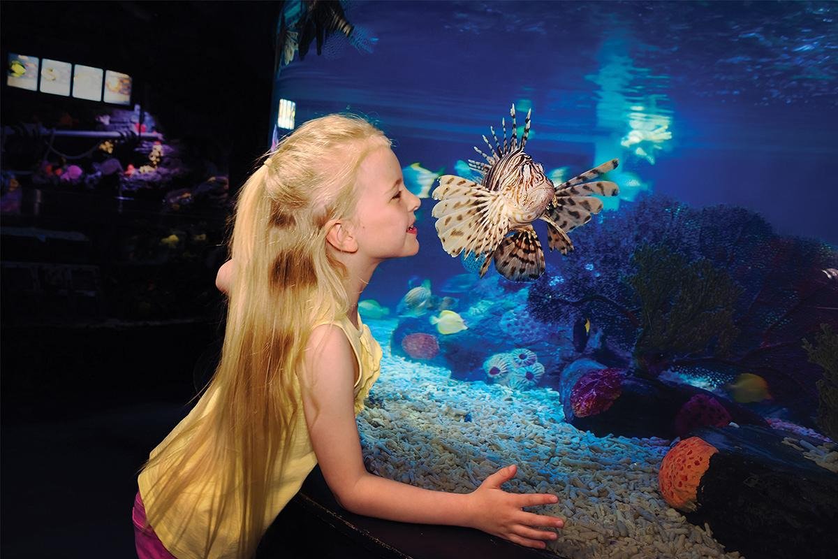 SEA LIFE® – Charlotte-Concord Aquarium