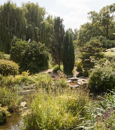 Queen Mary's gardens in London, England