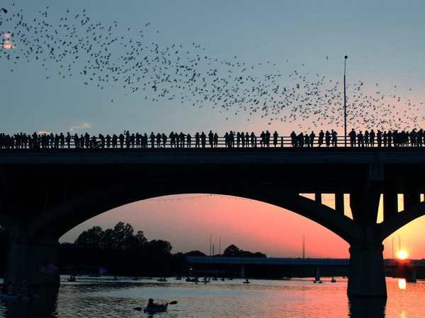 Congress Avenue Bridge (South Congress Bridge)