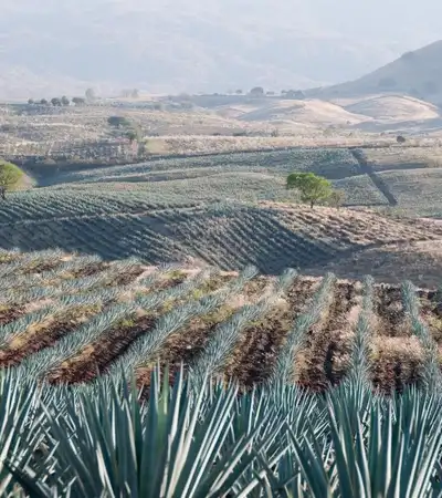 Guadalajara in Jalisco, Mexico