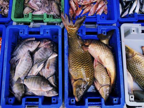 Noryangjin Fisheries Wholesale Market