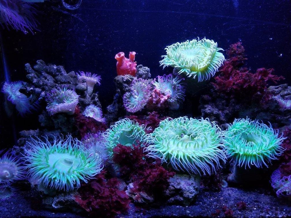 San Antonio Aquarium