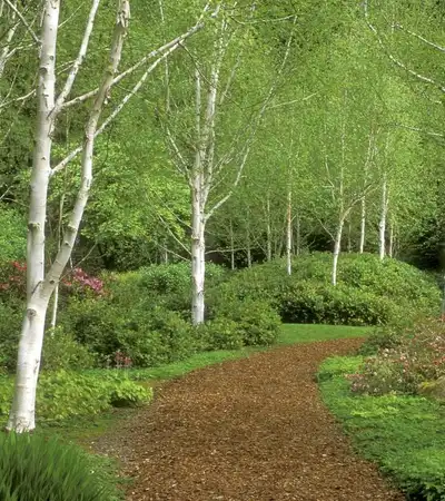 Bainbridge Island in Washington, United States