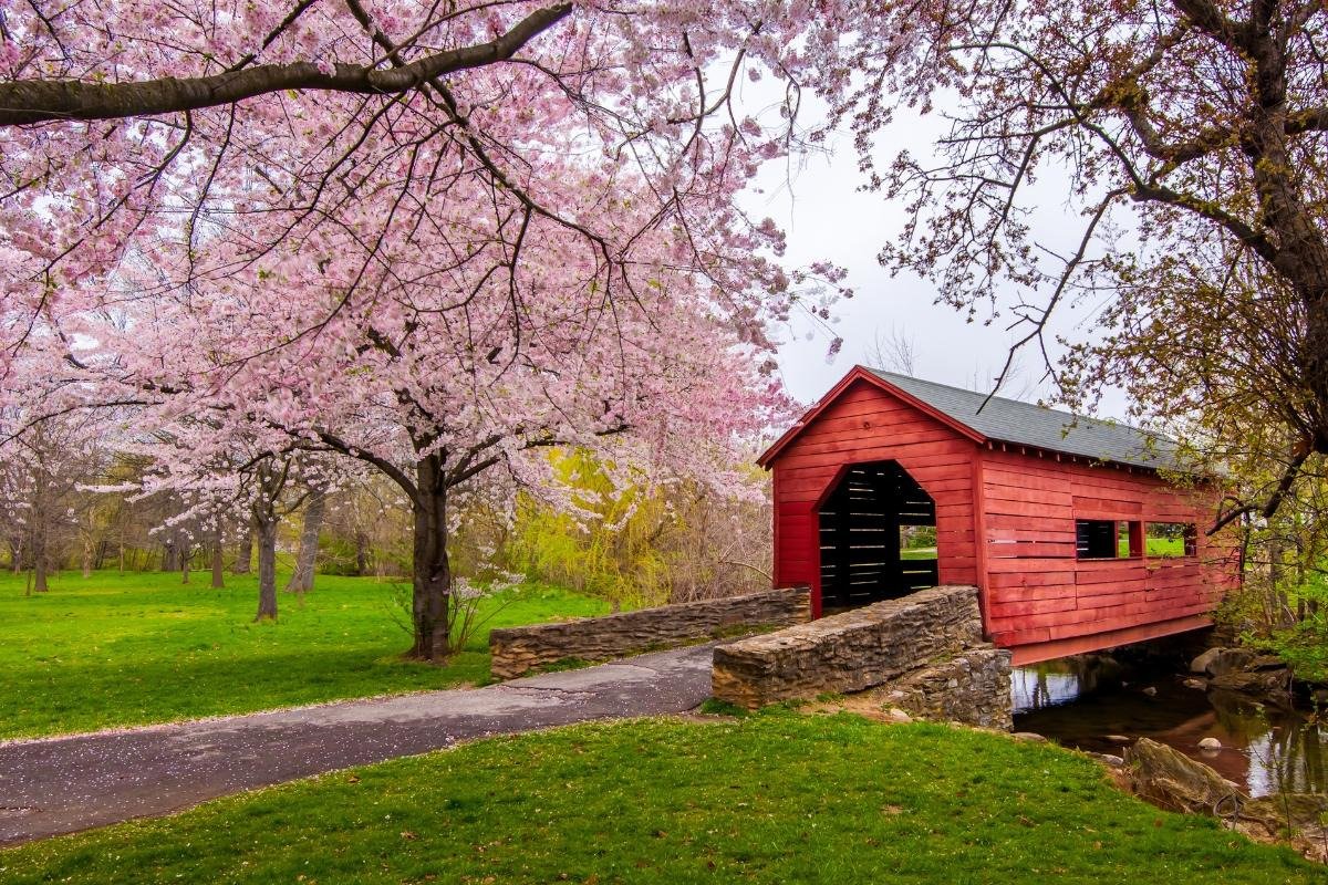 Baker Park