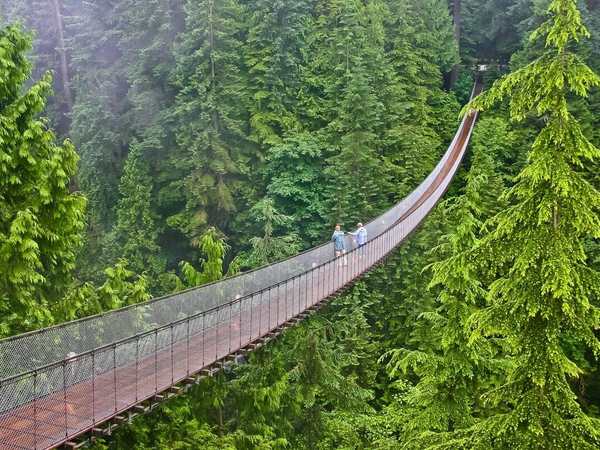 Capilano Suspension Bridge Park