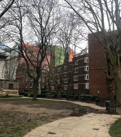 Phoenix Garden in London, England