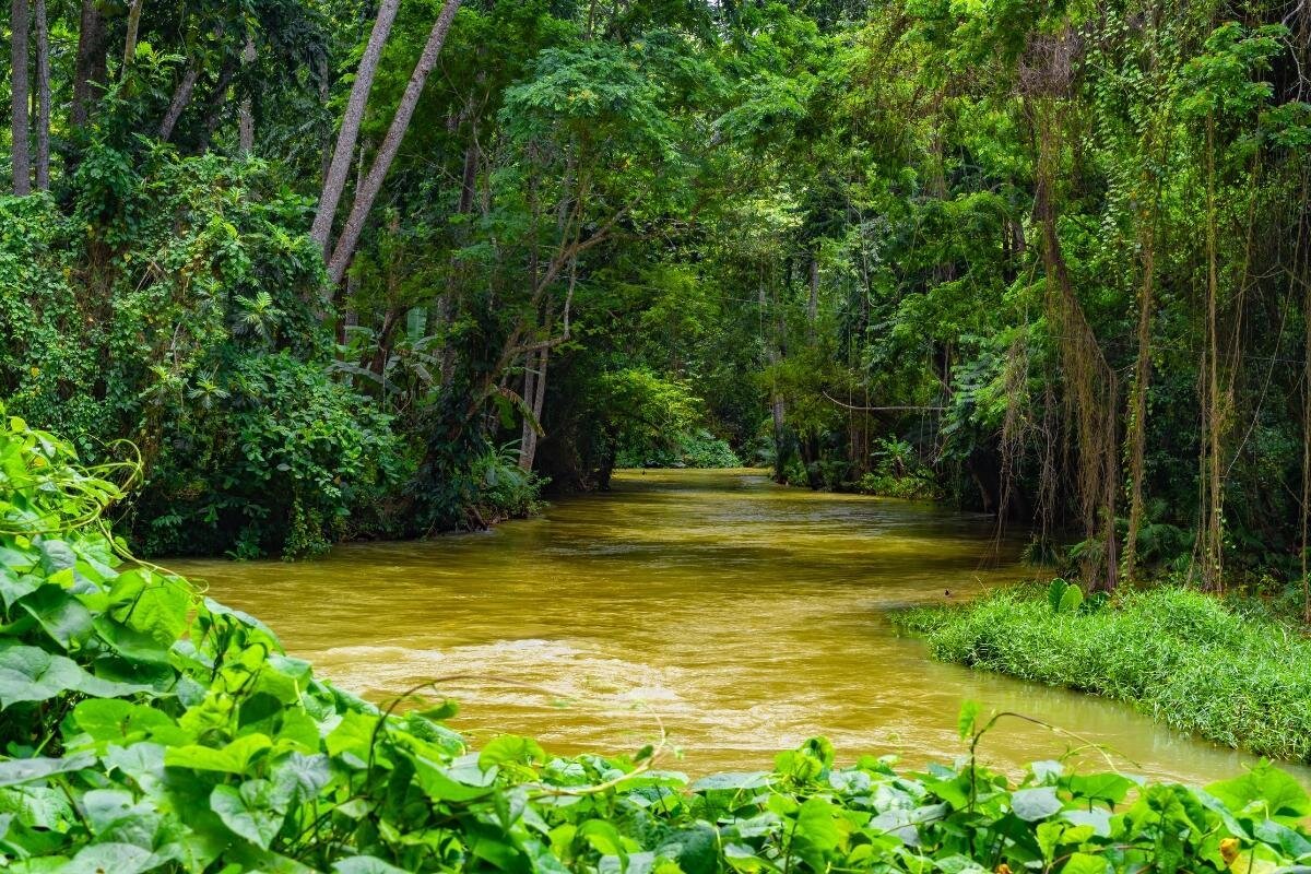 Martha Brae River