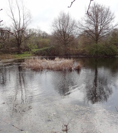Cranmer Green in London, England