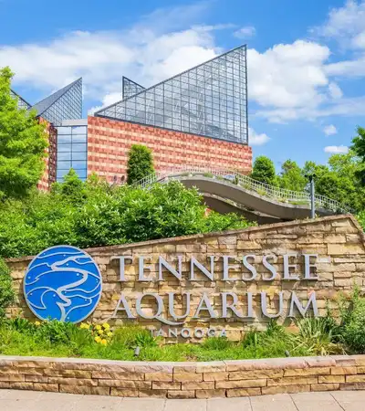 Chattanooga in Tennessee, United States
