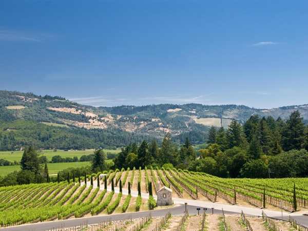 Benziger Family Winery