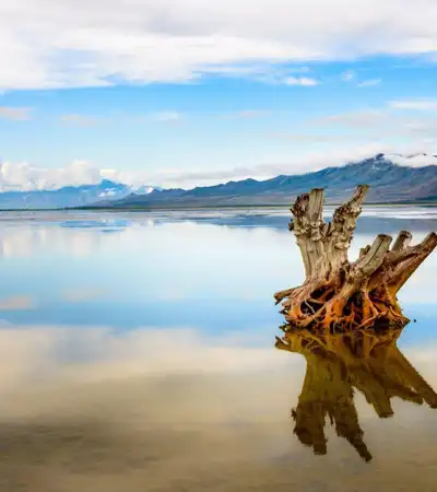 Salt Lake City in Utah, United States