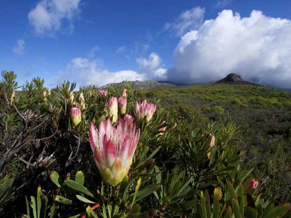 Silvermine Nature Reserve