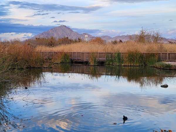 Clark County Wetlands Park