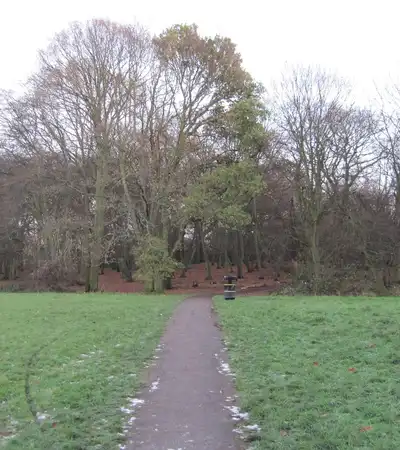 Cherry Tree Wood in London, England