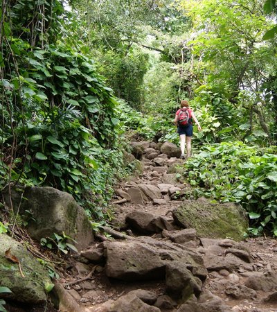 The Kalalau Trail in Kilauea, Hawaii